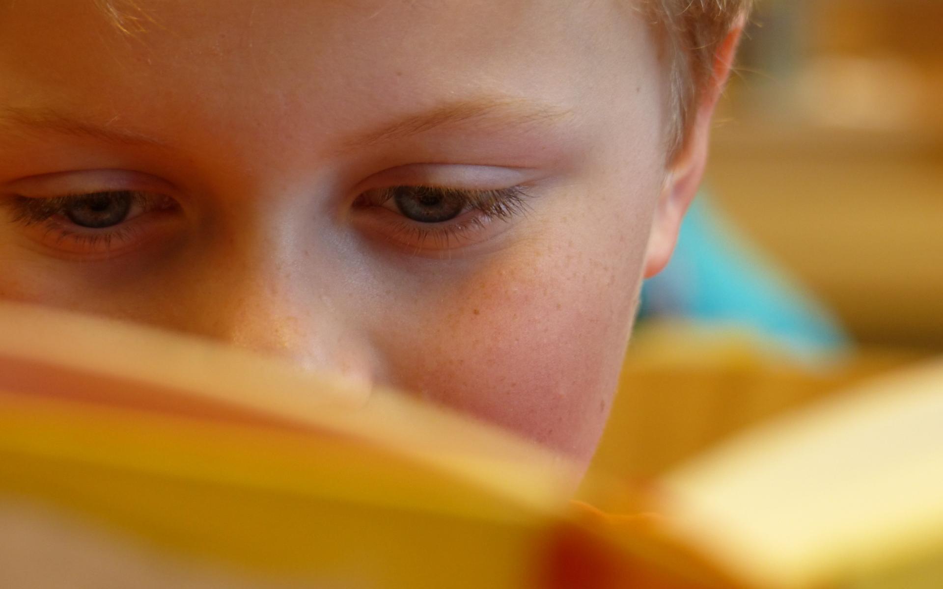 Lesender Junge von vorne fotografiert - aufgeschlagenes Buch verdeckt das halbe Gesicht.