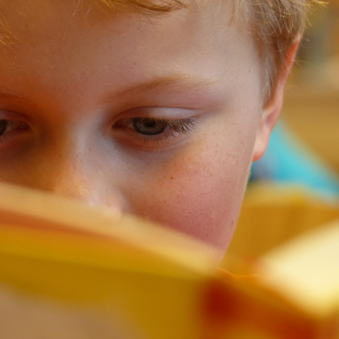 Lesender Junge von vorne fotografiert - aufgeschlagenes Buch verdeckt das halbe Gesicht.